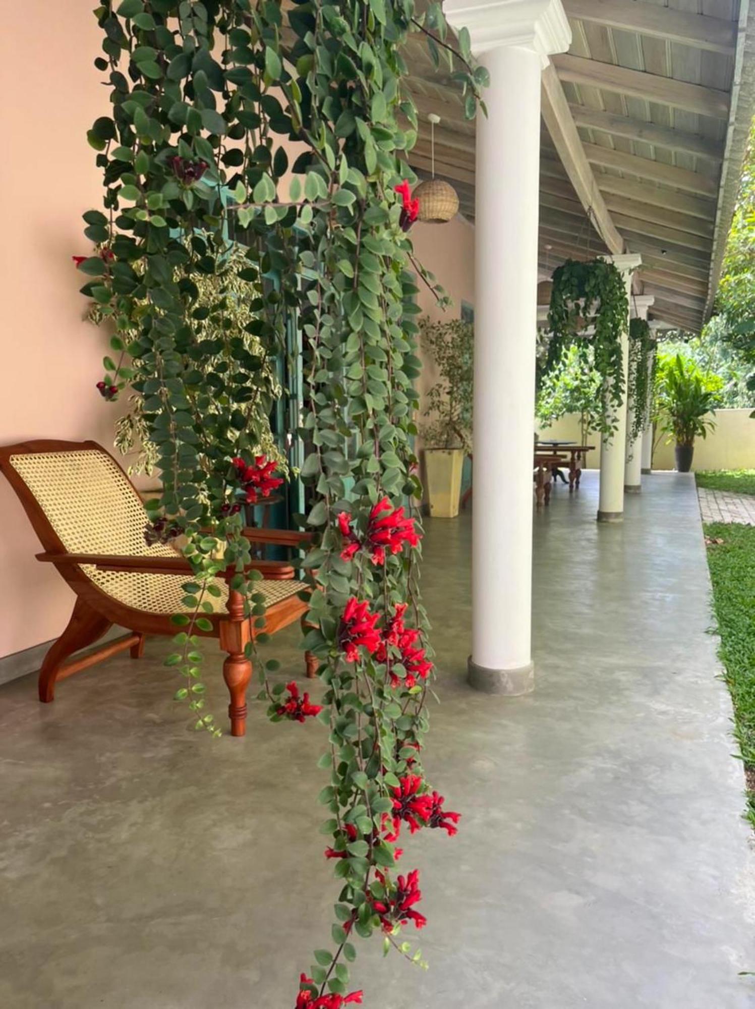 Villa Ronaya Surf Waves à Dikwella Extérieur photo